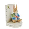 Peter Rabbit Book Stop