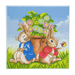 Peter Rabbit and Flopsy Crystal Art Canvas Kit