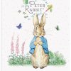 The Original Metal Sign Co - Peter Rabbit