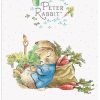The Original Metal Sign Co - Peter Rabbit Sleeping