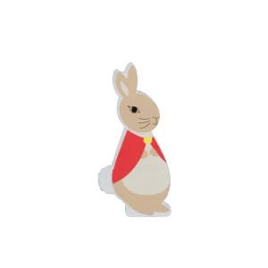 Flopsy Wooden Character