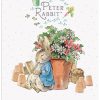 The Original Metal Sign Co - Peter Rabbit by Plant Pot