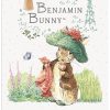 Benjamin Bunny holding hankerchief