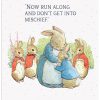 The Original Metal Sign Co - Mrs Rabbit & Bunnies