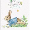 The Original Metal Sign Co - Peter Rabbit Running