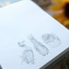 Peter Rabbit Flip Notepad
