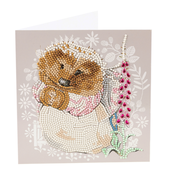 Mrs Tiggy-Winkle Crystal Art Card Kit