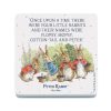 Peter Rabbit & Bunnies