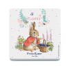 Flopsy Bunny Sitting
