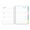 Peter Rabbit 2024 Organiser Diary