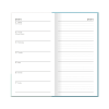 Peter Rabbit 2024 Slim Diary
