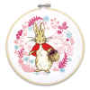 Flopsy Bunny Embroidery Kit