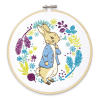 Peter Rabbit Embroidery Kit