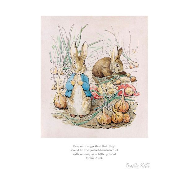 Benjamin suggested they fill - Mounted Limited Edition Print