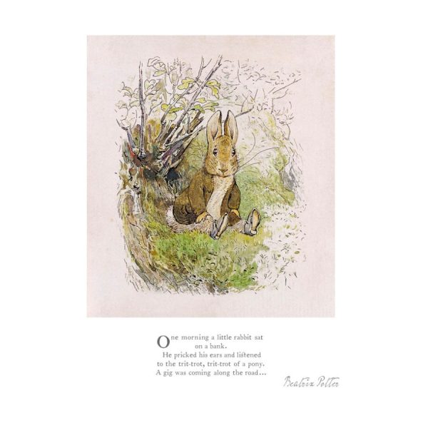 One morning a little rabbit - Mounted Limited Edition Print