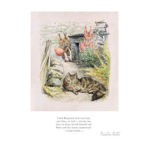 Little Benjamin took one look - Mounted Limited Edition Print