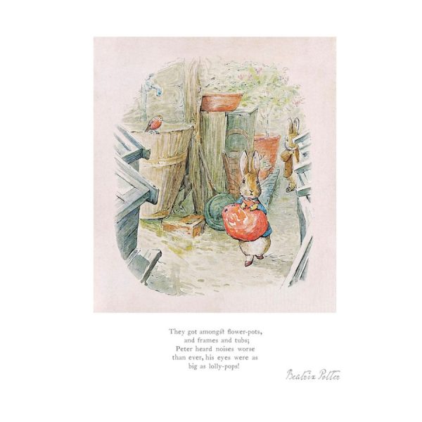 They got amongst flower-pots - Mounted Limited Edition Print