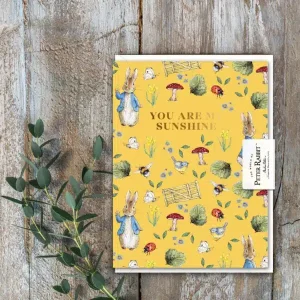 Peter Rabbit You Are My Sunshine Mini Card