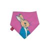 Blade & Rose Peter Rabbit Love Summer Bibs