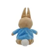 Peter Rabbit Mini Plush Soft Toy