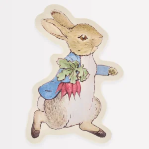 Peter Rabbit Reusable Plate