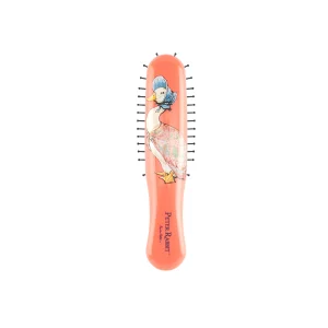 Jemima Puddle-Duck Hairbrush