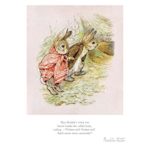 Peter Rabbit and Benjamin Bunny Mounted Limited Edition Print
