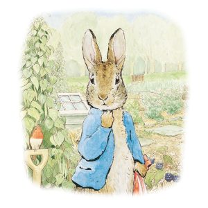 Peter Rabbit in the Garden Greetings Card