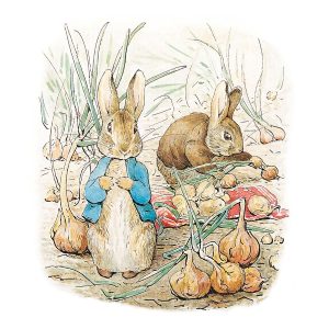 Peter Rabbit & Benjamin Bunny Greetings Card