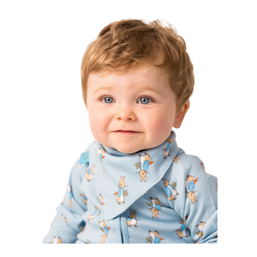 Blade & Rose Peter Rabbit Up to Mischief Bib